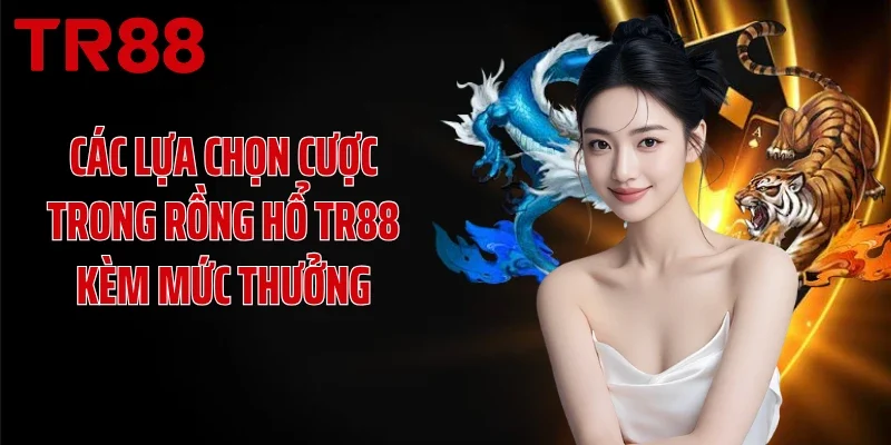 Các lựa chọn cược trong Rồng Hổ TR88 kèm mức thưởng
