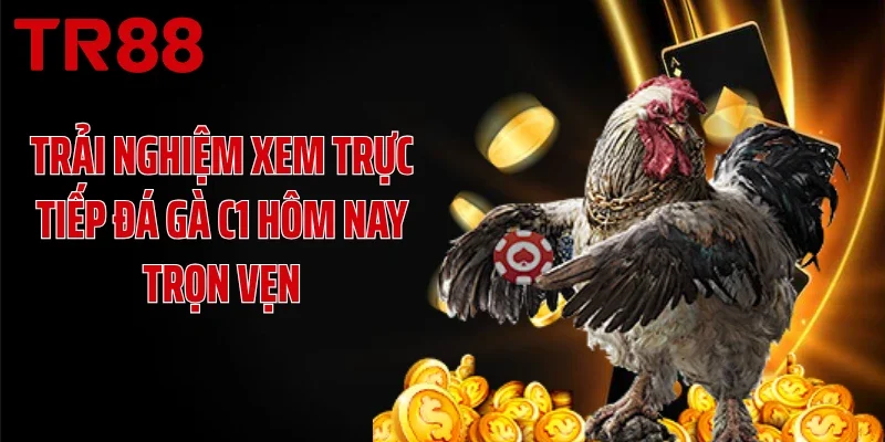 Trải nghiệm xem trực tiếp đá gà C1 hôm nay trọn vẹn